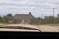 100_0585.jpg