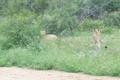 100_0586.jpg