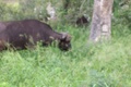 100_0600.jpg