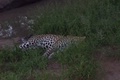 100_0646.jpg