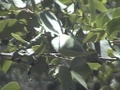 dvc00417.jpg