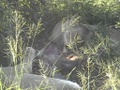 dvc00488.jpg