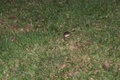100_0687.jpg