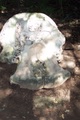 100_0692.jpg