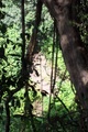 100_0696.jpg