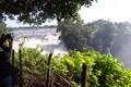 100_0706.jpg