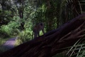 100_0715.jpg