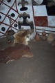 100_0725.jpg