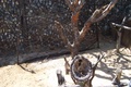 100_0731.jpg