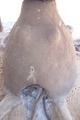 100_0733.jpg