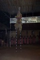 100_0765.jpg