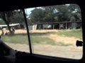dvc00607.jpg