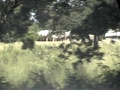 dvc00612.jpg