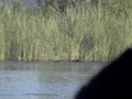 dvc00621.jpg
