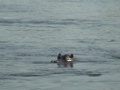 dvc00622.jpg
