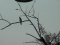 dvc00626.jpg