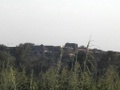 dvc00627.jpg