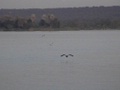 dvc00631.jpg