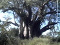 dvc00644.jpg