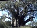 dvc00645.jpg