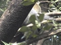 dvc00671.jpg
