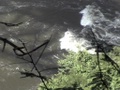 dvc00685.jpg
