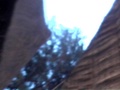 dvc00693.jpg