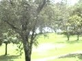 dvc00695.jpg