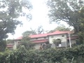 dvc00709.jpg